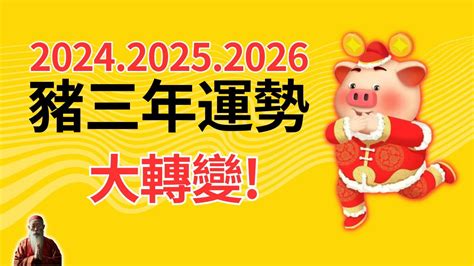 生肖豬運勢|【2024豬年】生肖豬2024好運滾滾來！屬豬運勢、幸。